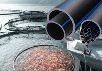 ống nhựa HDPE ứng dụng làm lồng nuôi cá