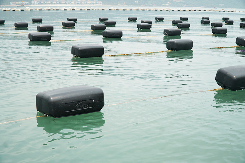 Giàn nuôi hàu HDPE 1